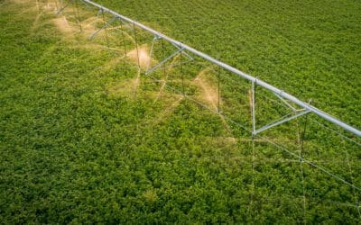 Irrigation in Saskatchewan: Proven Benefits