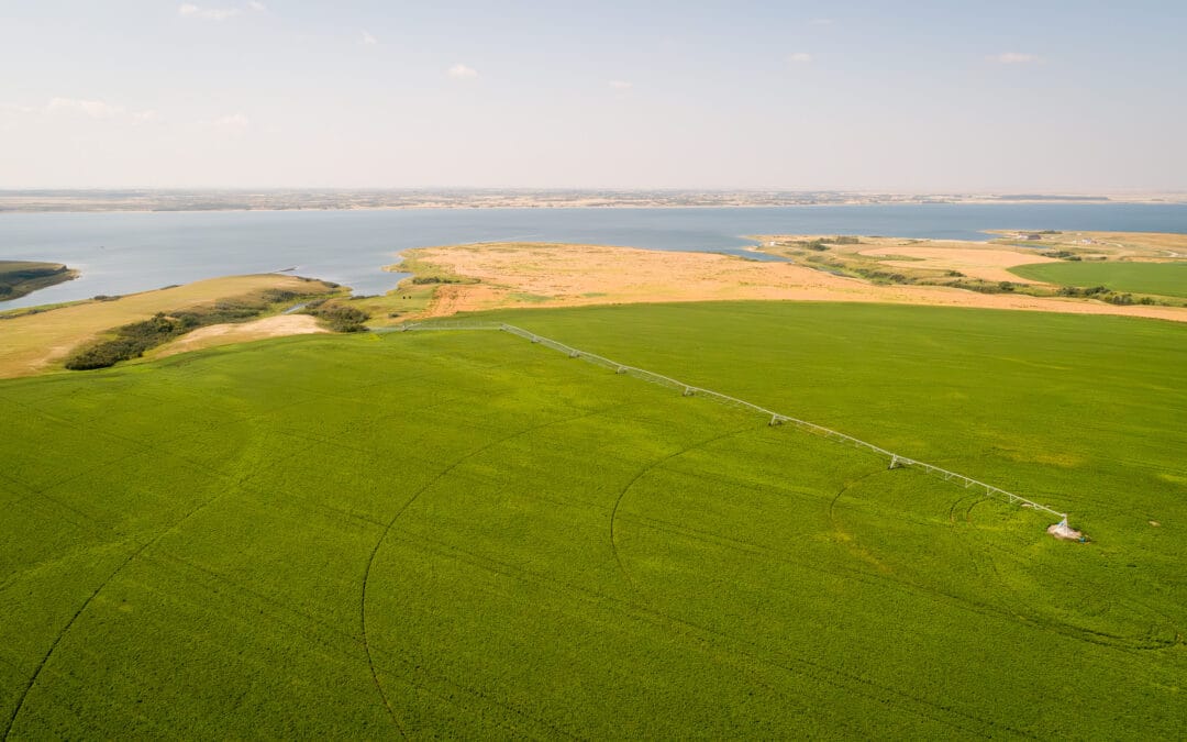 Final Analysis Shows Irrigation Project to Create 80,000 Jobs and $12.9 Billion GDP Impact